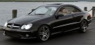 Sportsgrill W209 thumbnail